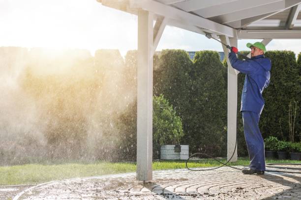 Best House Exterior Washing  in Burnt Mills, MD
