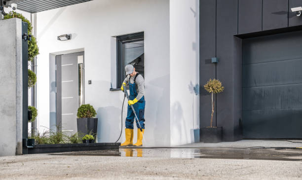 Best Paint Preparation  in Burnt Mills, MD